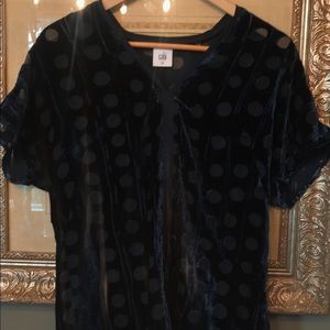 Cabi crushed velvet top